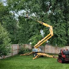 Trusted Rosewood Heights, IL Tree Removal and Landscaping Services Experts